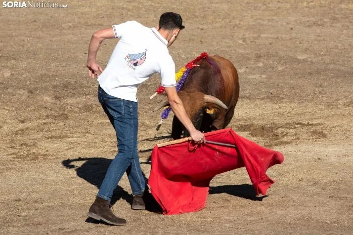 Becerrada en Vinuesa