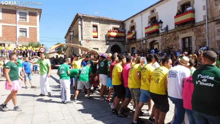 Pingada del Mayo en Vinuesa