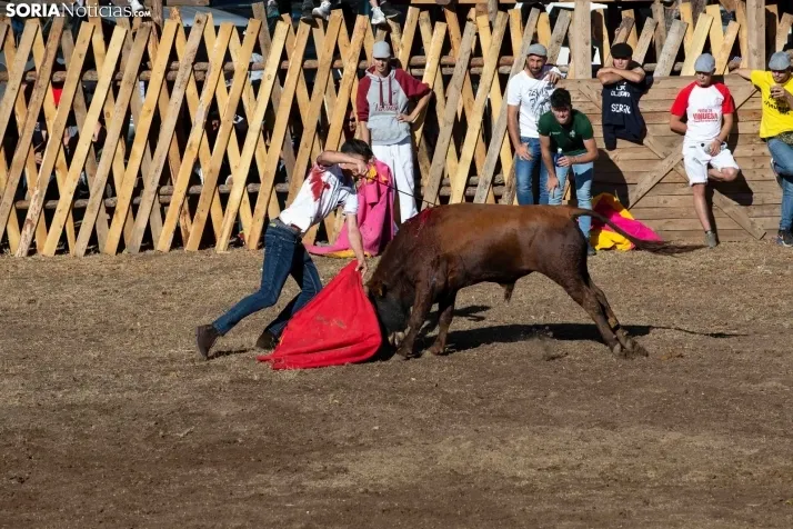 Becerrada en Vinuesa