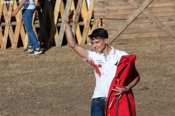 Becerrada en Vinuesa