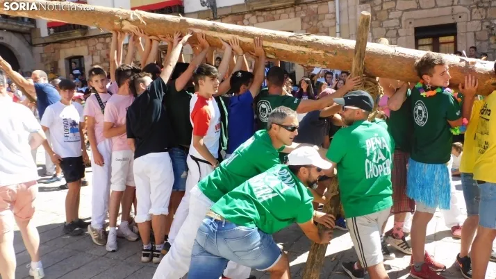 Pingada del Mayo en Vinuesa