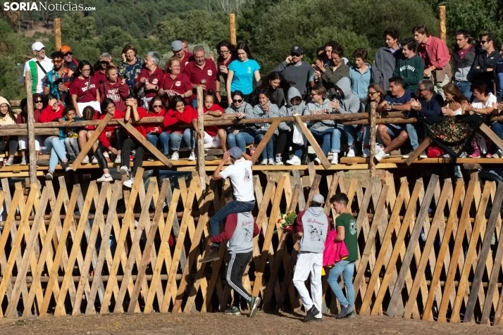 Becerrada en Vinuesa
