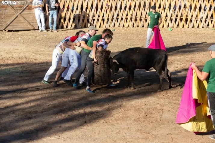 Becerrada en Vinuesa