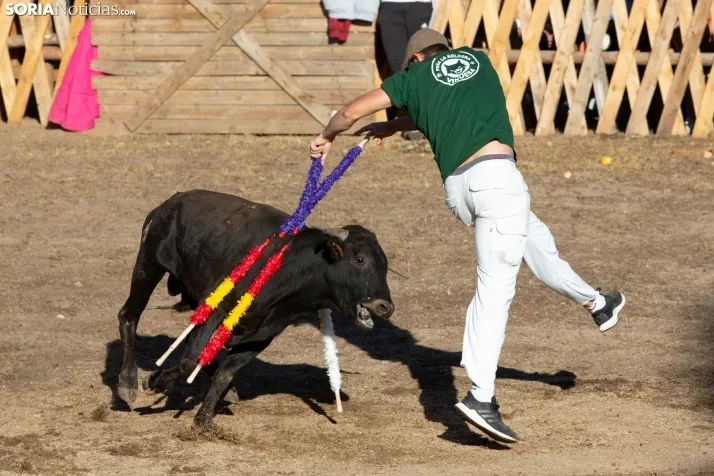 Becerrada en Vinuesa