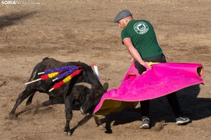 Becerrada en Vinuesa
