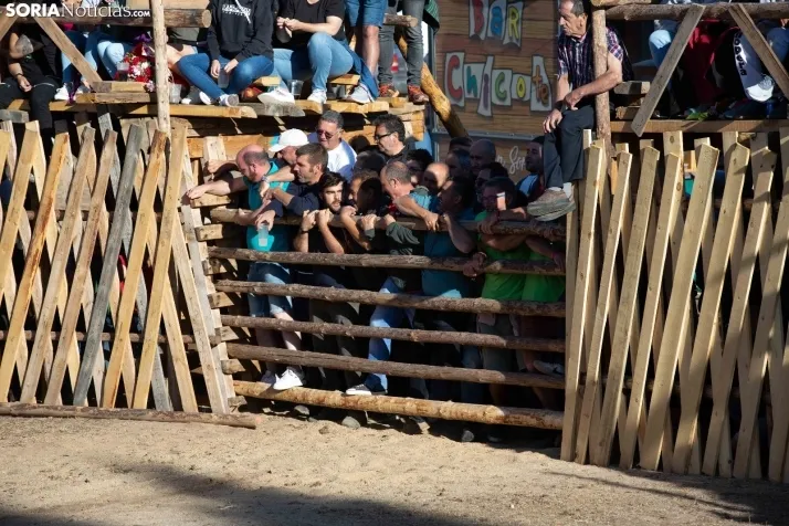 Becerrada en Vinuesa