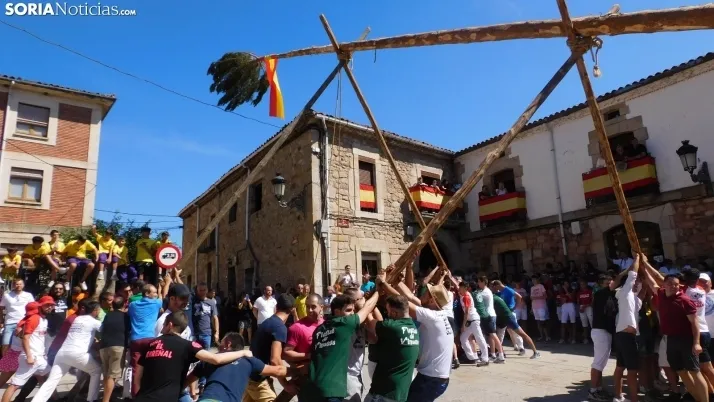 Pingada del Mayo en Vinuesa