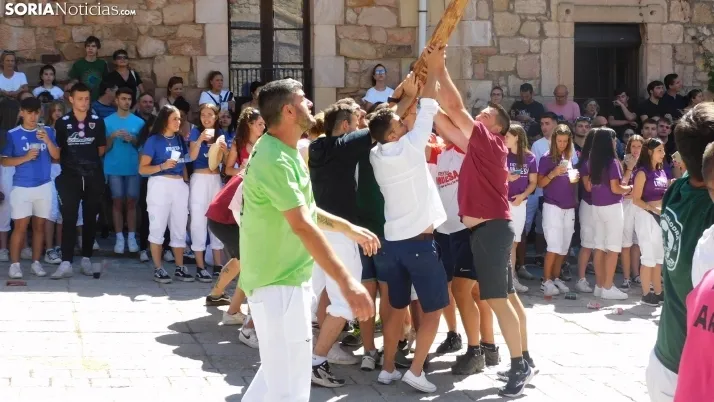 Pingada del Mayo en Vinuesa