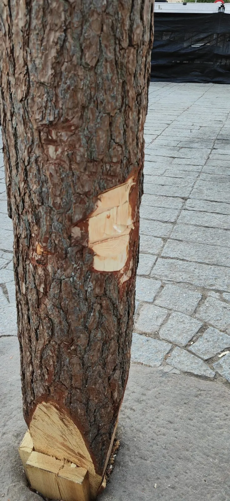 Foto 2 - Miedo y confusi&oacute;n en las fiestas de Vinuesa: Un var&oacute;n se atrinchera y pone en jaque al pueblo