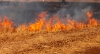 Foto 1 - Pequeño incendio intencionado en Garray