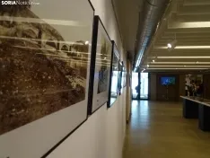 Foto 6 - Abre la muestra 'Las edades del r&iacute;o. Del Perejinal a San Saturio' 