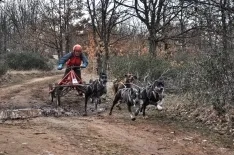 Foto 3 - Tres sorianos, al Europeo de mushing sobre tierra 