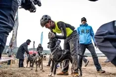 Foto 4 - Tres sorianos, al Europeo de mushing sobre tierra 