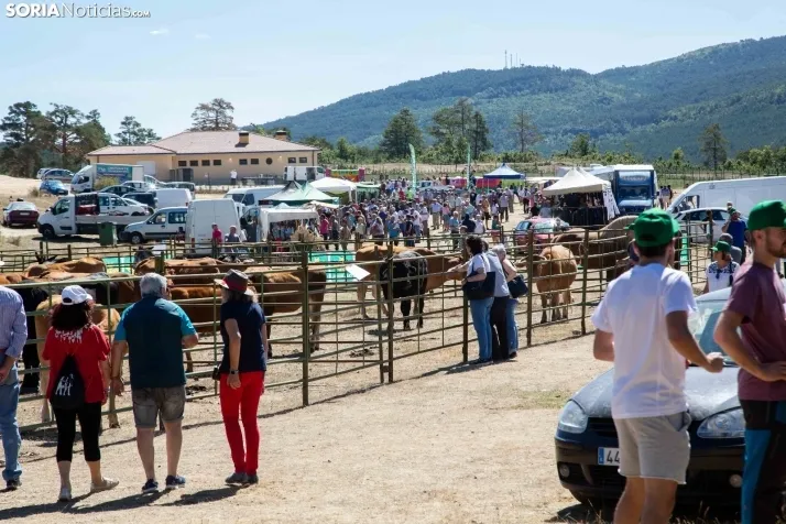 Feria Ganadera de Covaleda