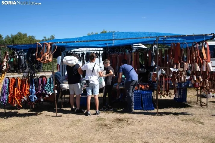 Feria Ganadera de Covaleda