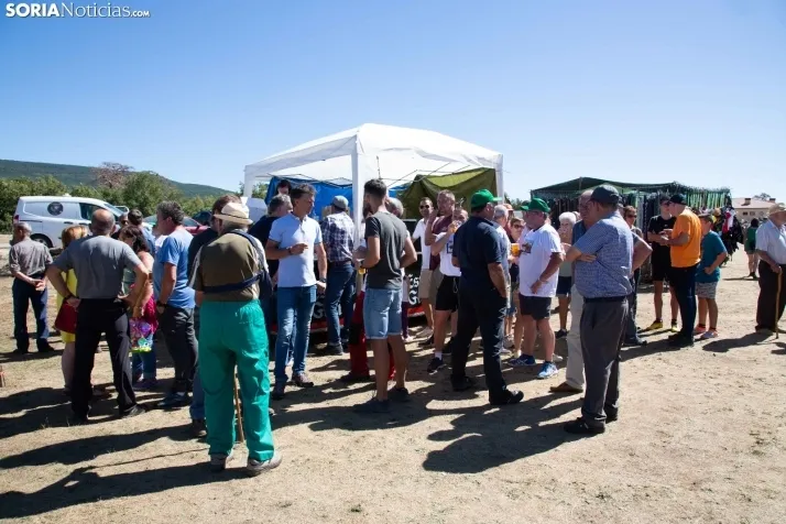 Feria Ganadera de Covaleda