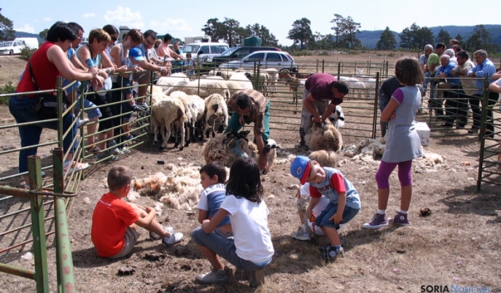 Covaleda empieza el sábado una nueva etapa de su Feria Ganadera