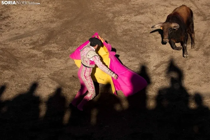 Fotos: el encierro y la novillada protagonizaron el s&aacute;bado de fiestas en Deza