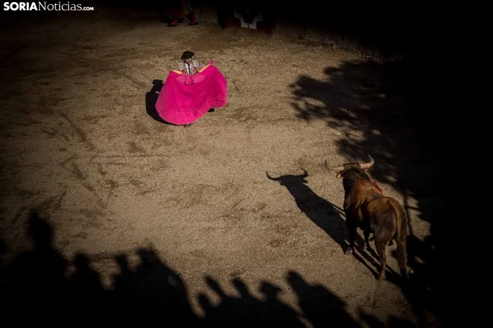 Fotos: el encierro y la novillada protagonizaron el s&aacute;bado de fiestas en Deza