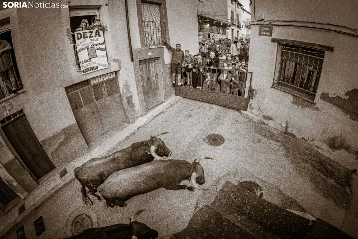 Fotos: el encierro y la novillada protagonizaron el s&aacute;bado de fiestas en Deza