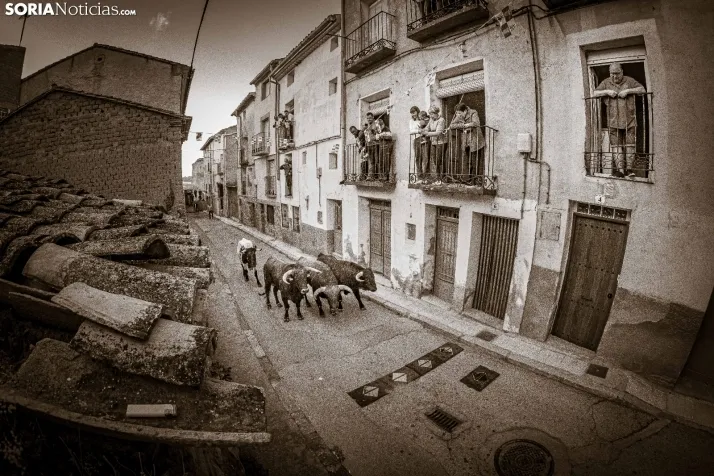 Fotos: el encierro y la novillada protagonizaron el s&aacute;bado de fiestas en Deza