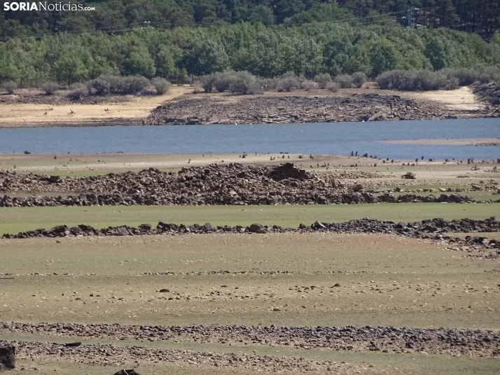 Una imagen del embalse ahora en Vinuesa. /SN