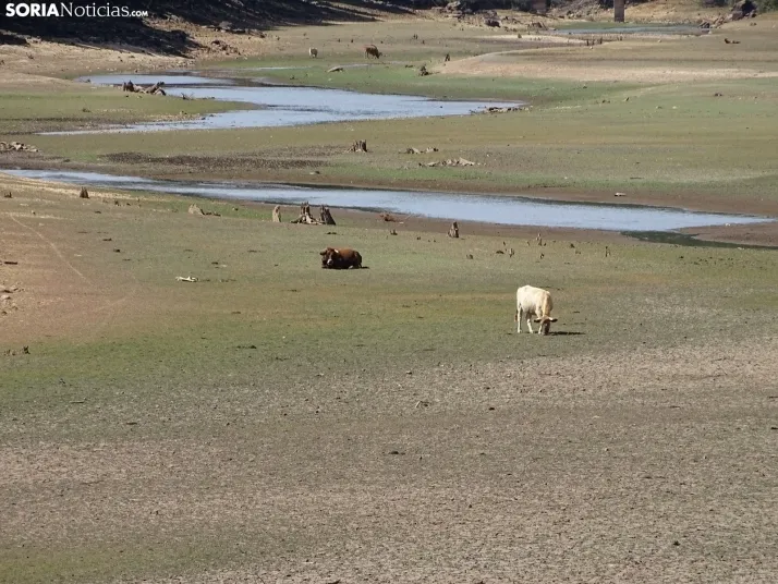 Una imagen del embalse ahora en Vinuesa. /SN