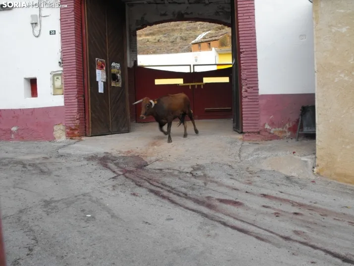 Im&aacute;genes de la despedida festiva en Arcos