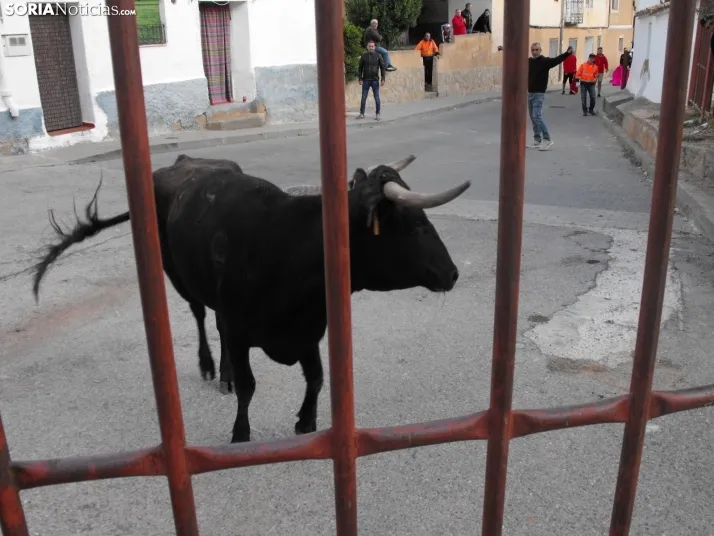 Im&aacute;genes de la despedida festiva en Arcos