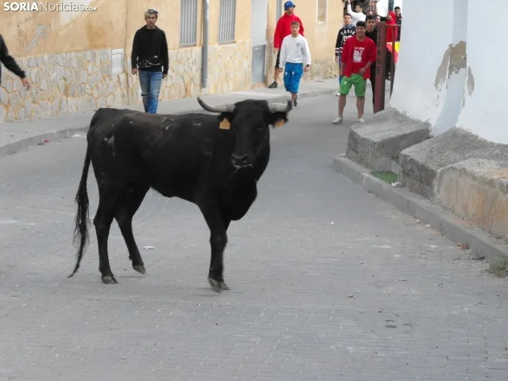Im&aacute;genes de la despedida festiva en Arcos