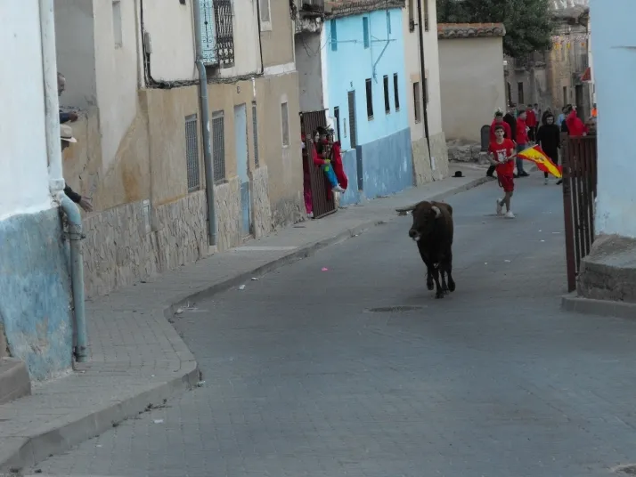 Galer&iacute;a: encierro, rejones y bajada de las pe&ntilde;as en Arcos de Jal&oacute;n
