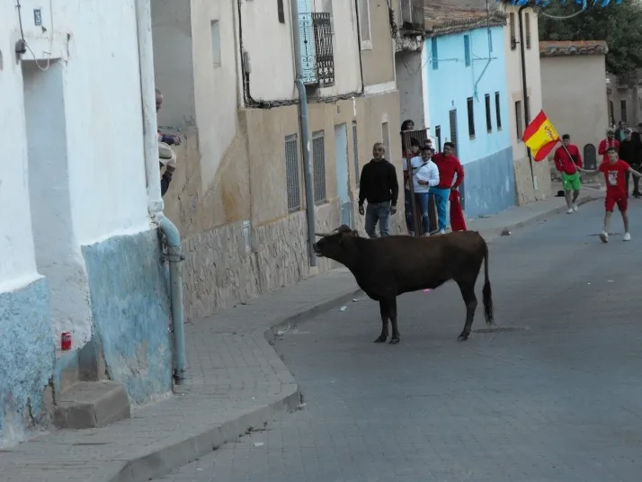 Galer&iacute;a: encierro, rejones y bajada de las pe&ntilde;as en Arcos de Jal&oacute;n