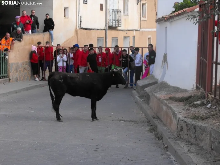 Im&aacute;genes de la despedida festiva en Arcos