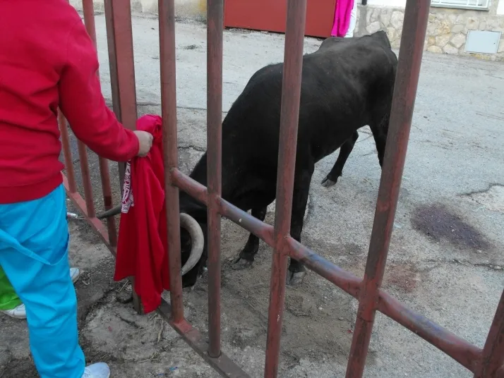 Galer&iacute;a: encierro, rejones y bajada de las pe&ntilde;as en Arcos de Jal&oacute;n