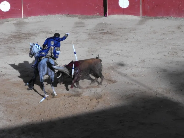 Galer&iacute;a: encierro, rejones y bajada de las pe&ntilde;as en Arcos de Jal&oacute;n