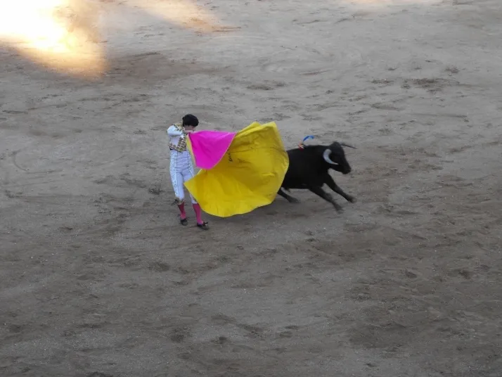 Mucho color y un divertido ambiente en las fiestas de Arcos de Jal&oacute;n