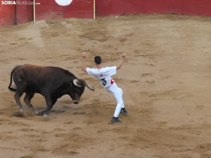 Im&aacute;genes de la despedida festiva en Arcos