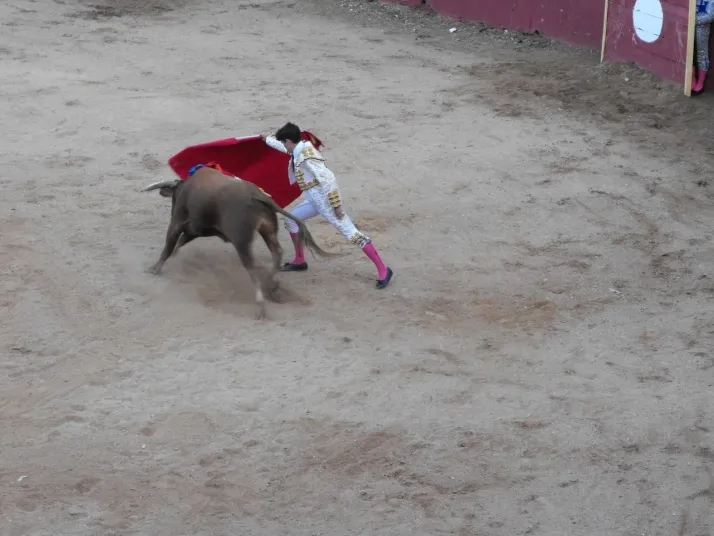 Mucho color y un divertido ambiente en las fiestas de Arcos de Jal&oacute;n