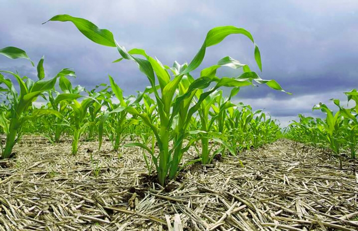 Soriactiva organiza una jornada sobre agricultura de conservación y captura de carbono