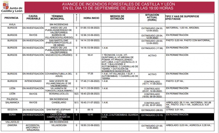 Sofocado un incendio en Castejón del Campo