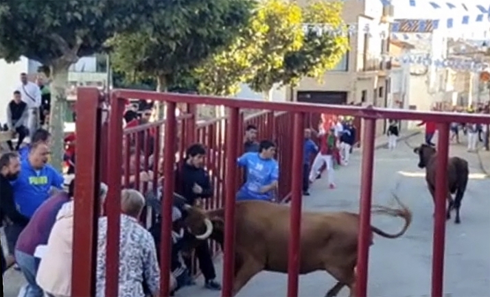 VIDEO | Más emoción y peligro en el encierro de Ólvega de hoy