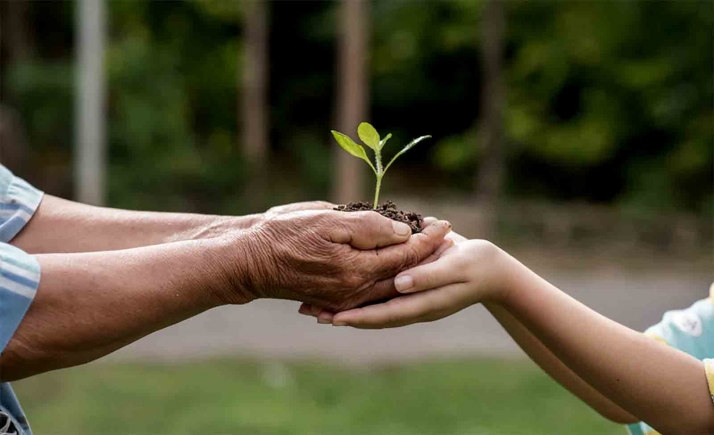 Castilla y León comienza a elaborar una nueva estrategia de educación ambiental para 2023-2030