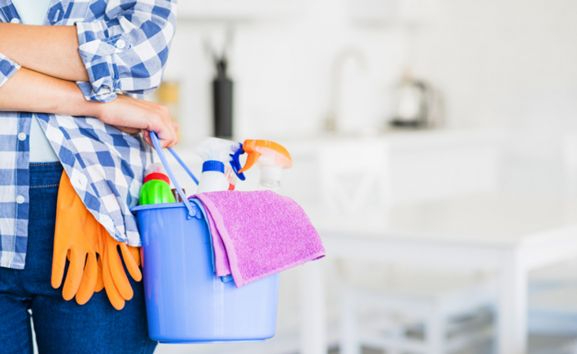 El PSOE destaca la mejora de las condiciones laborales para las 695 trabajadoras del hogar sorianas