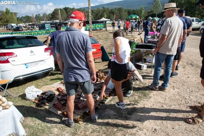 Feria Ganadera de Vinuesa: 31 edición