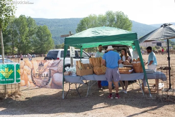 Feria Ganadera de Vinuesa: 31 edición