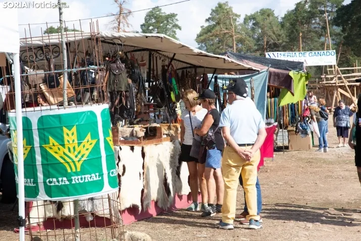 Feria Ganadera de Vinuesa: 31 edición