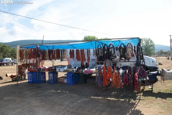 Feria Ganadera de Vinuesa: 31 edición