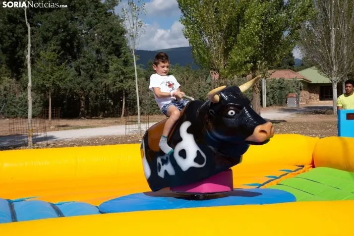 Feria Ganadera de Vinuesa: 31 edición