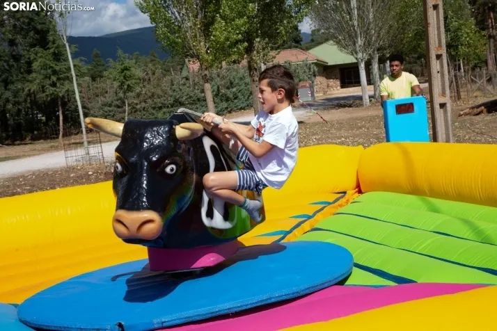 Feria Ganadera de Vinuesa: 31 edición