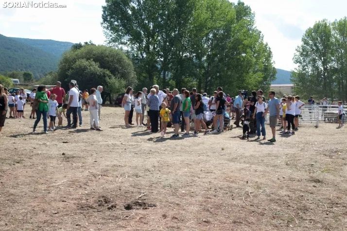 Feria Ganadera de Vinuesa: 31 edición